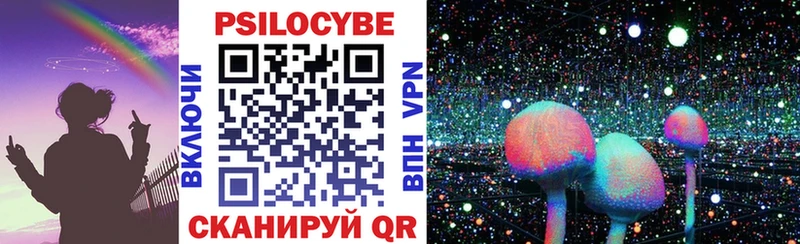Псилоцибиновые грибы Psilocybe  Ильский 